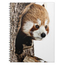 Search for red panda notebooks Cute