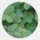 Search for 3 leaf stickers Green