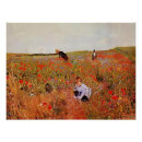Search for red poppies posters Meadow