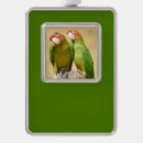Search for conure christmas tree decorations Bird