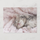 Search for towel postcards Horizontal
