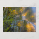 Search for danita delimont postcards Moss