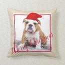 Search for english bulldog cushions Puppy