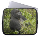 Search for herbivore electronics Africa