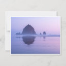 Search for haystack cards invites Cannon