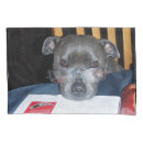 Search for puppy pillowcases Dog
