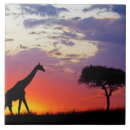 Search for preservation tiles Masai mara national park