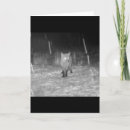 Search for fox cards Snow