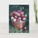 Search for basket cards Harvest