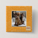 Search for carols badges I can has cheezburger