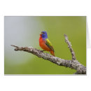 Search for bunting postcards Environment