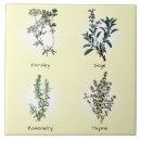 Search for herb tiles Illustration