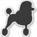 Search for standard poodle electronics Dog