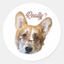 Search for pembroke welsh corgi stickers Cute