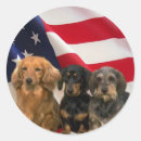 Search for dachshund puppy stickers Animals