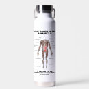 Search for muscles Anatomical
