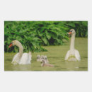 Search for mute swan stickers Wildlife