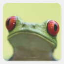 Search for tree frog stickers Animal
