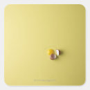 Search for cracked egg Food