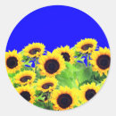 Search for sunflower stickers ukraine