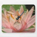 Search for dragonfly electronics Country
