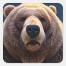Search for bear face stickers Wild