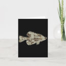 Search for crappie cards Fisherman