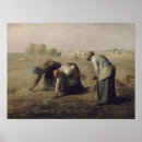 Search for glaneuses Millet