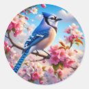 Search for blue jay stickers Colourful