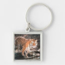 Search for stream key rings Horizontal