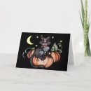 Search for pumpkin cat cards Cats