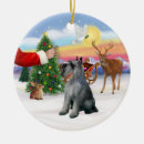 Search for salt christmas tree decorations Giant schnauzer