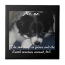 Search for glass 10cm tiles Humour