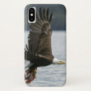 Search for bald eagles iphone cases Animals