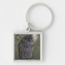 Search for barred owl key rings Bird
