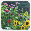 Search for zinnia stickers Garden