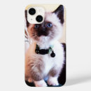 Search for blue eyes iphone cases Pets