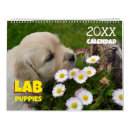Search for labrador retriever calendars Dog