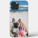Search for bully iphone cases French bulldog