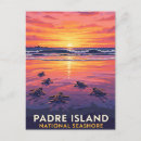 Search for padre postcards Beach