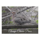 Search for peace dove art Nature