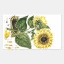 Search for native flowers stickers Botanical