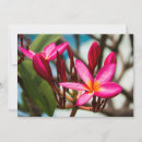 Search for wallpaper pattern invitations Background
