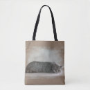 Search for relaxed bags Cats