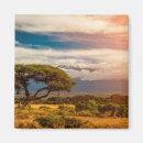 Search for kenya magnets Amboseli national park