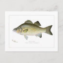 Search for bass postcards Fishing