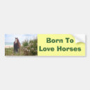 Search for colt bumper stickers Foal