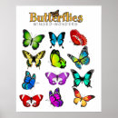Search for colorful butterflies posters Vibrant