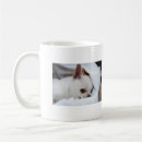 Search for chihuahua pictures mugs Dog