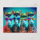Search for cute zebra postcards Zebras